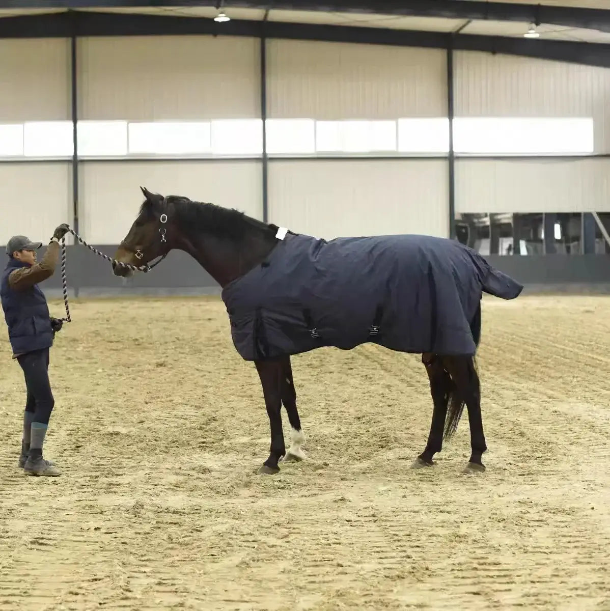 Couverture chauffante pour cheval S