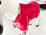 Couverture hiver pour cheval - Vignette | Cosycovers