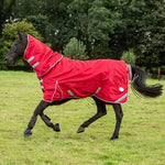 Couverture hiver pour cheval - Vignette | Cosycovers