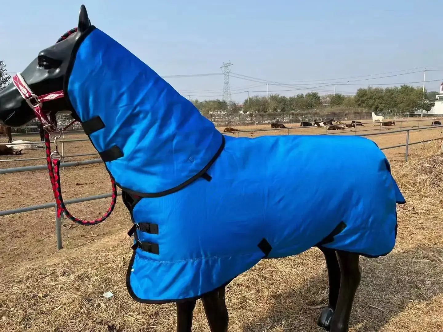 Image of Couverture imperméable pour cheval bleu