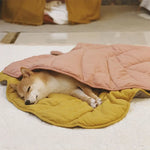 Couverture été pour chien et chat - Vignette | Cosycovers