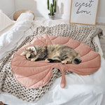 Couverture été pour chien et chat - Vignette | Cosycovers