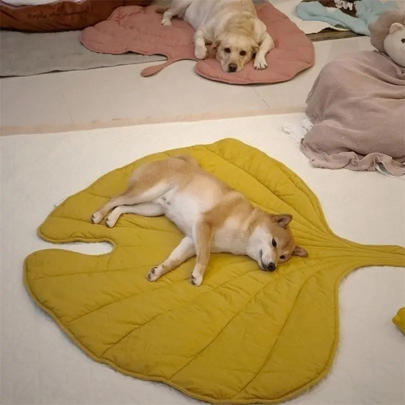 Couverture_t_pour_chien_et_chat 2