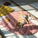 Couverture été pour chien et chat - Vignette | Cosycovers