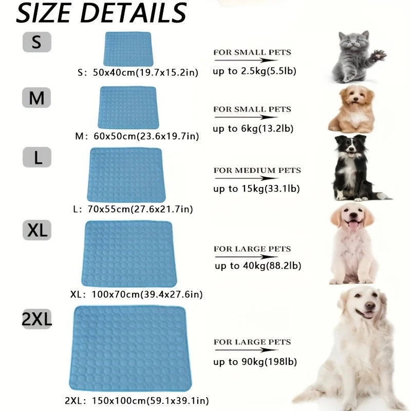 Tailles disponibles